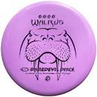 Walrus